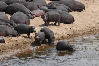 DSC_3640 (Large).JPG